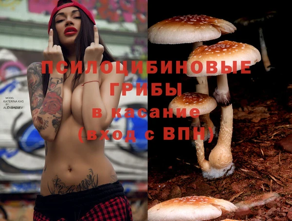 винт Елизово