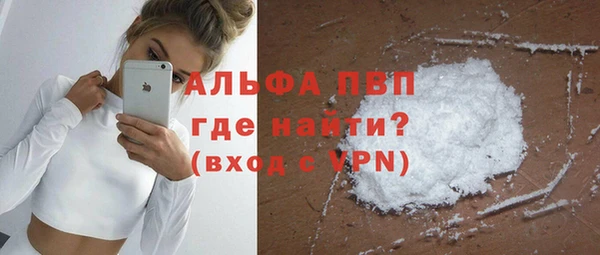 Альфа ПВП Няндома
