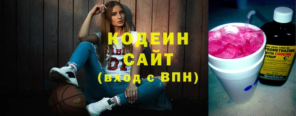 Альфа ПВП Няндома