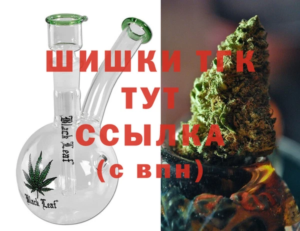 Альфа ПВП Няндома