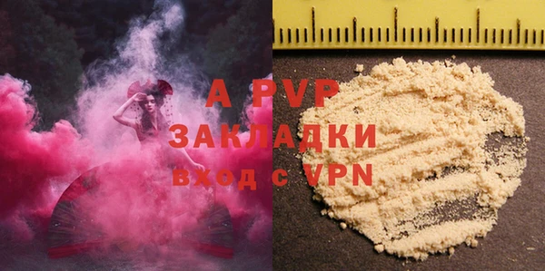 Альфа ПВП Няндома