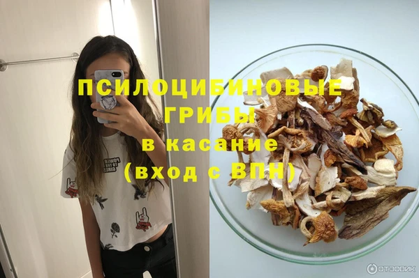 Альфа ПВП Няндома