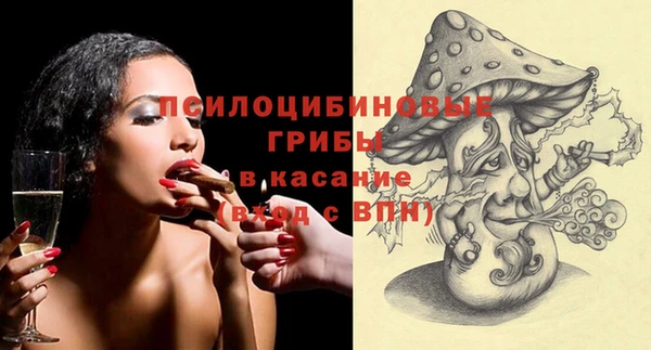 гашик Новокубанск