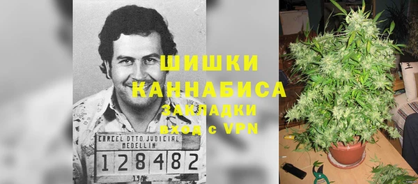 MDMA Новодвинск