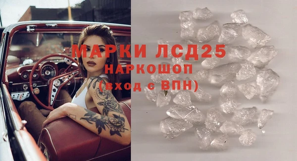 Альфа ПВП Няндома