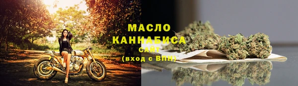 Альфа ПВП Няндома